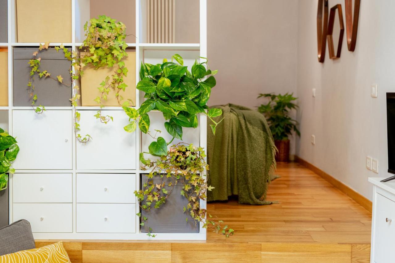 Il Cortile Di Elisa & Our Flats Bed & Breakfast Lucca Luaran gambar